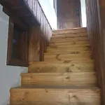 близнаците *