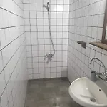 близнаците Leshten