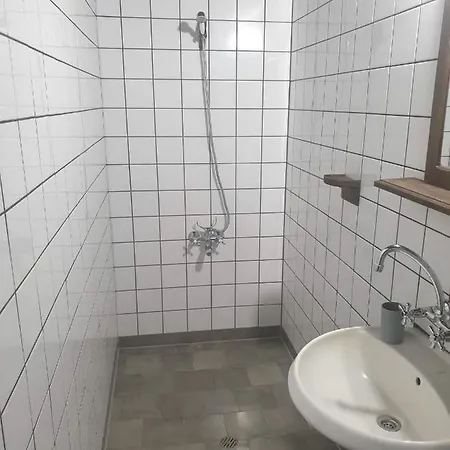 близнаците לשטן