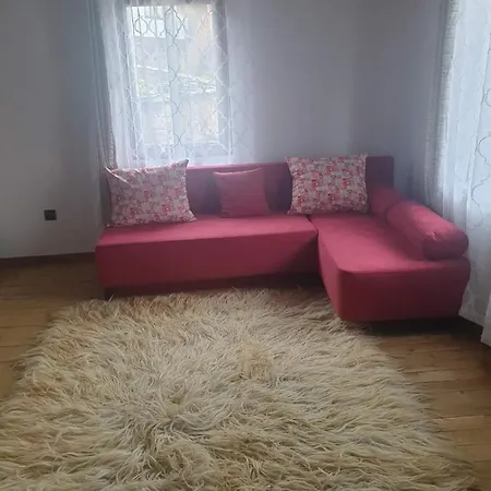 близнаците レシテン