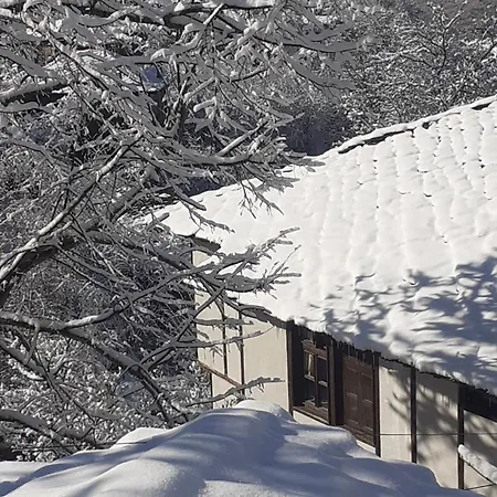 близнаците 레슈텐