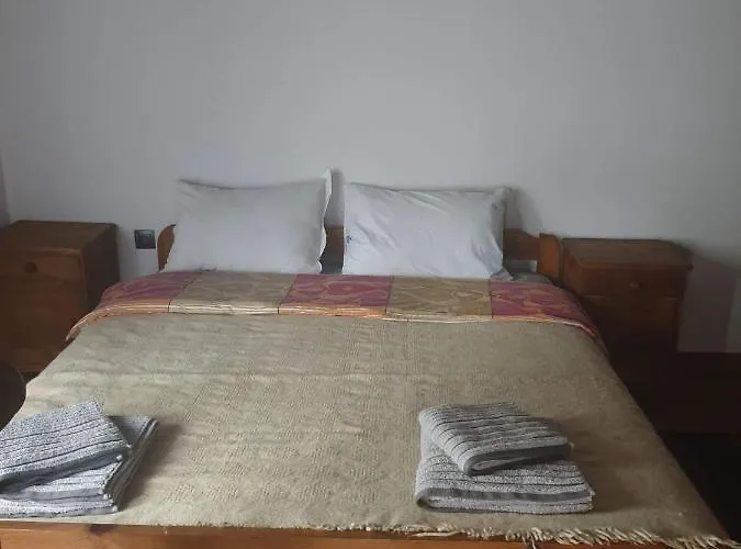 близнаците *