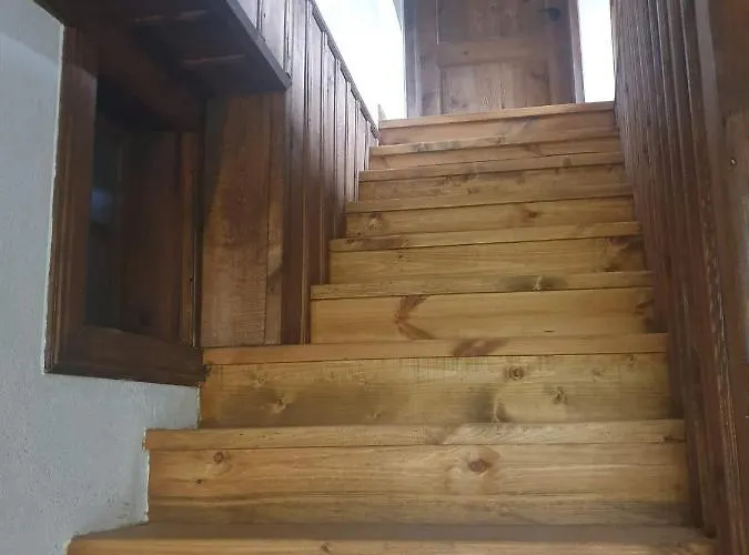 близнаците *