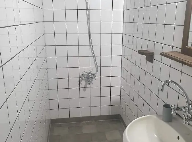 близнаците レシテン