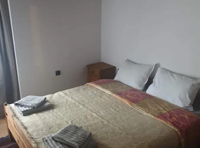 близнаците レシテン