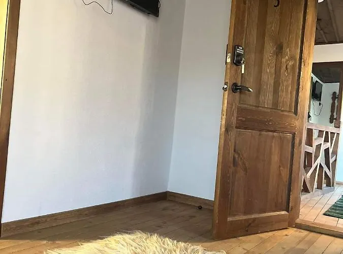 близнаците