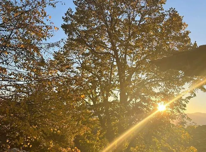 близнаците * レシテン