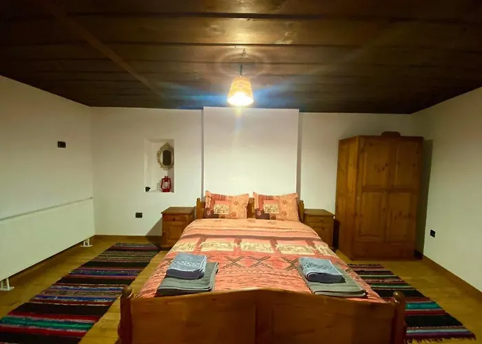 близнаците