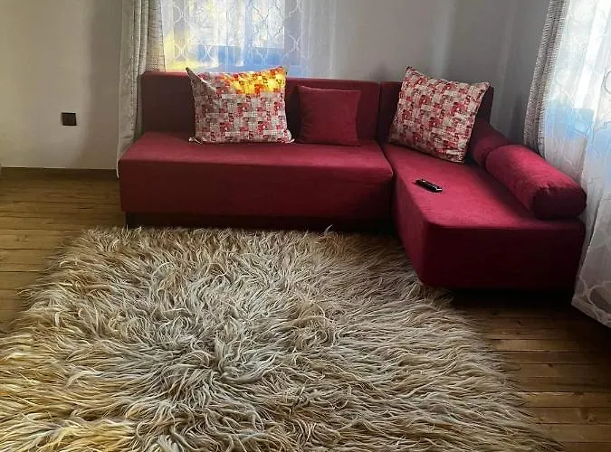 близнаците レシテン