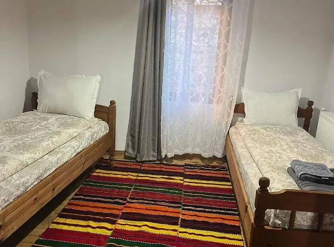 близнаците *