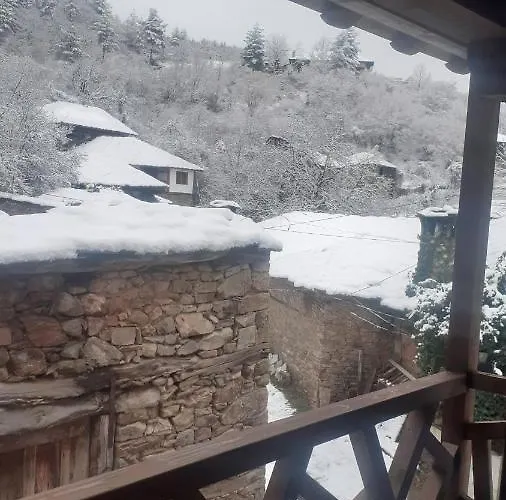 близнаците * レシテン