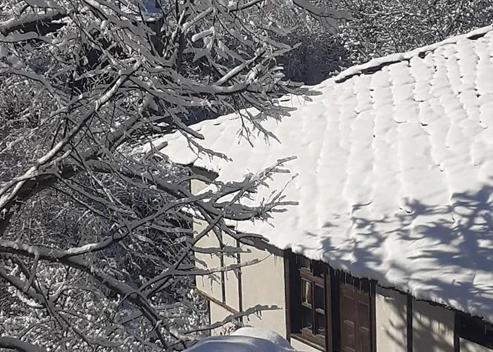 близнаците レシテン